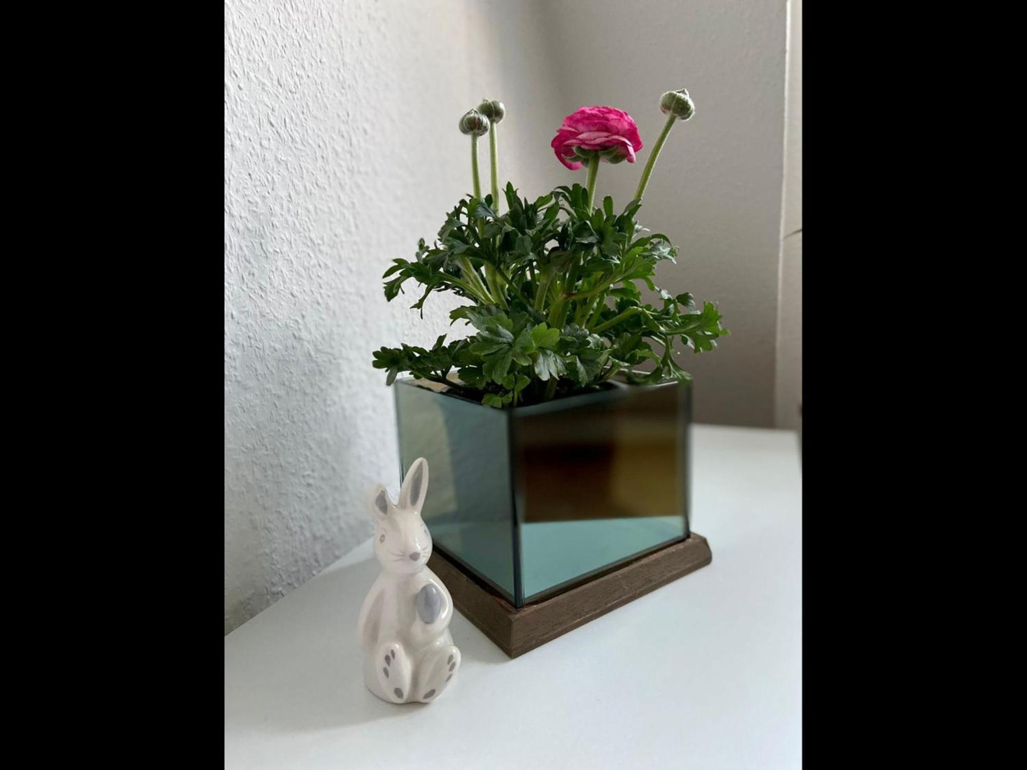 Neu Ferienwohnung Walsrode Luaran gambar